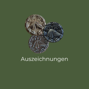 Auszeichnungen