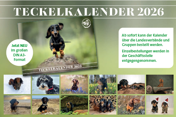 Screenshot%202025-09-01%20082458